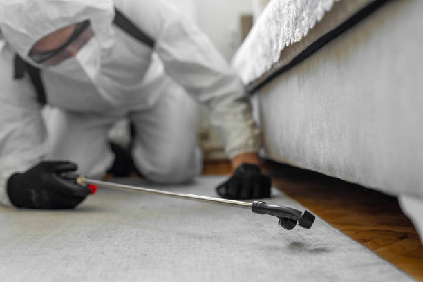 Professional Cockroach Control technician working in Mayer, MN